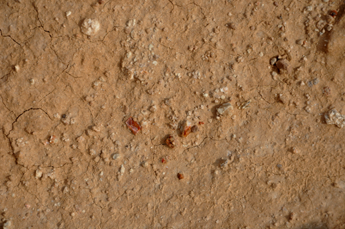 red stones at Goblin Valley State Park